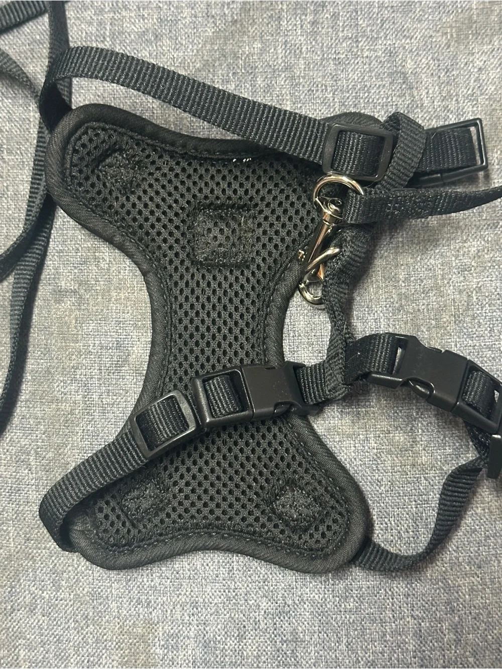 Black Breathable Mesh Cat Harness with Leash